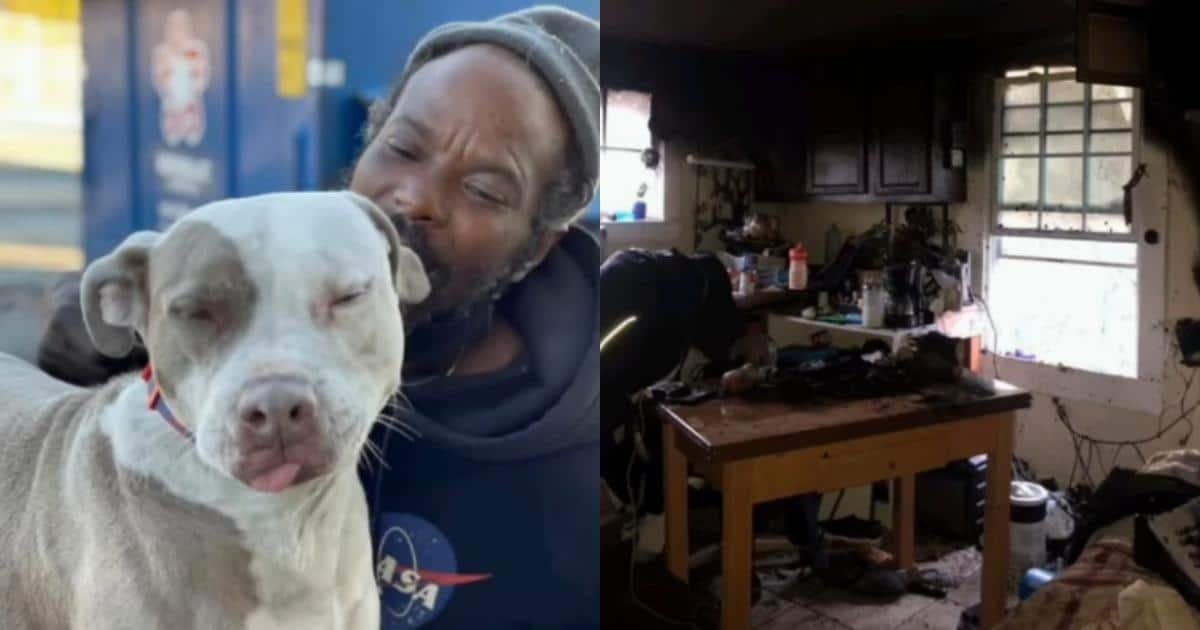 Homeless Hero Becomes ‘Guardian Angel’ After Risking His Life To Save 16 Animals From Burning Shelter