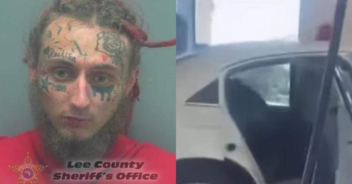 Florida Man Sentenced to Prison After Viral Video Captures Brutal Beating of Pit Bull